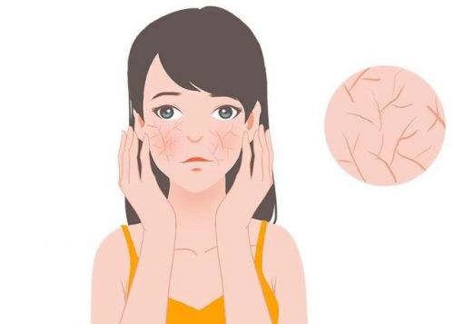 护霜：修护敏感肌肤重塑健康屏障凯发K8国际娱乐第二代薇诺娜特(图4)